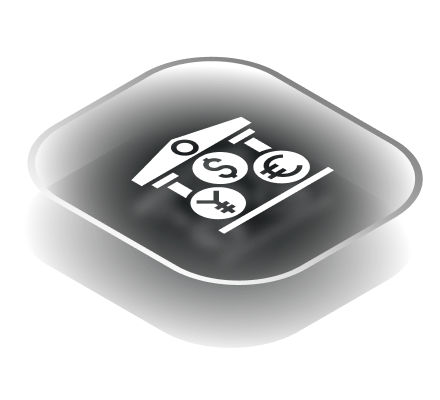 Multi-Currency Treasury